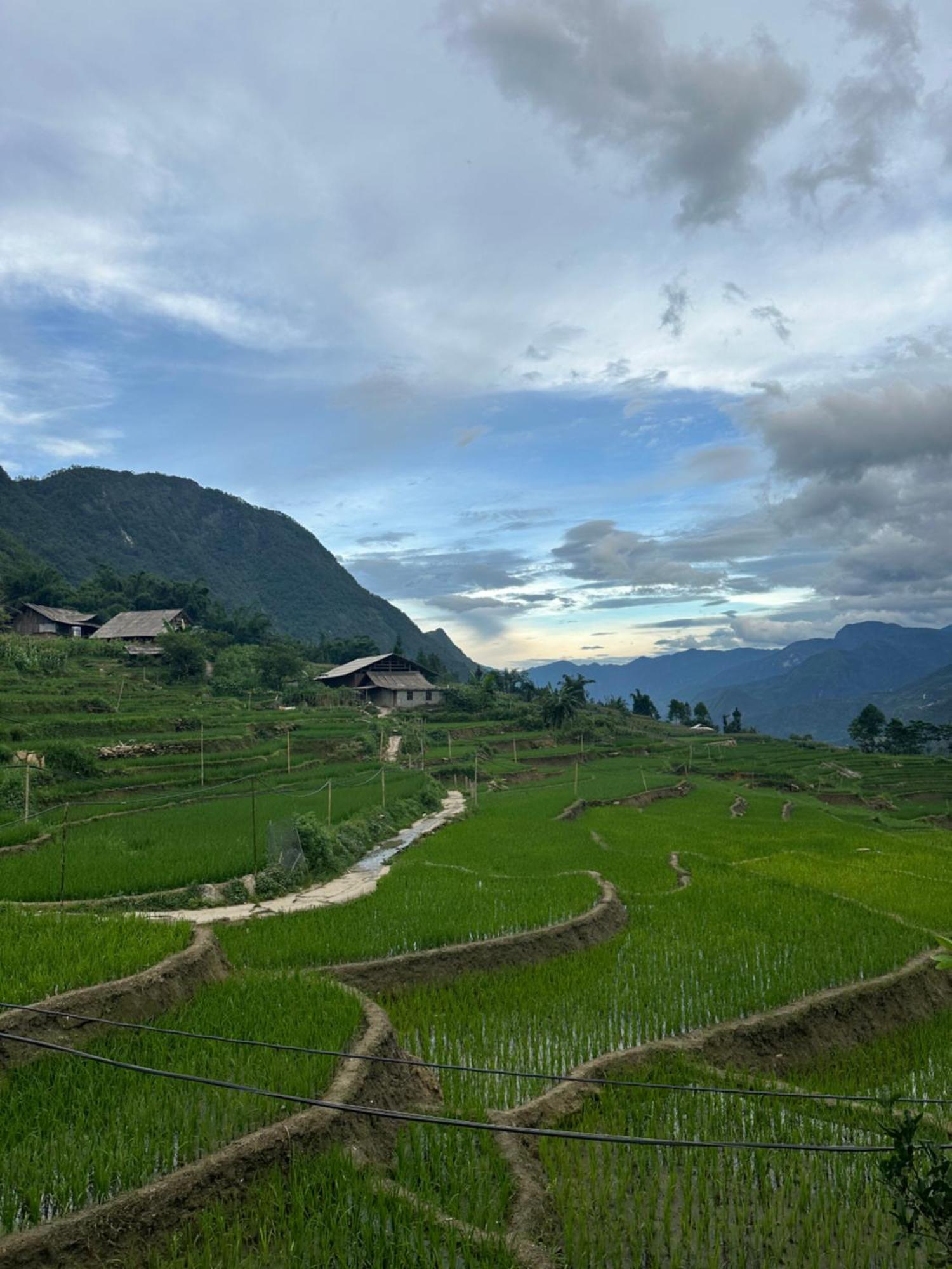 Mama Sisi Sapa Homestay & Trekking Lao Cai Eksteriør billede